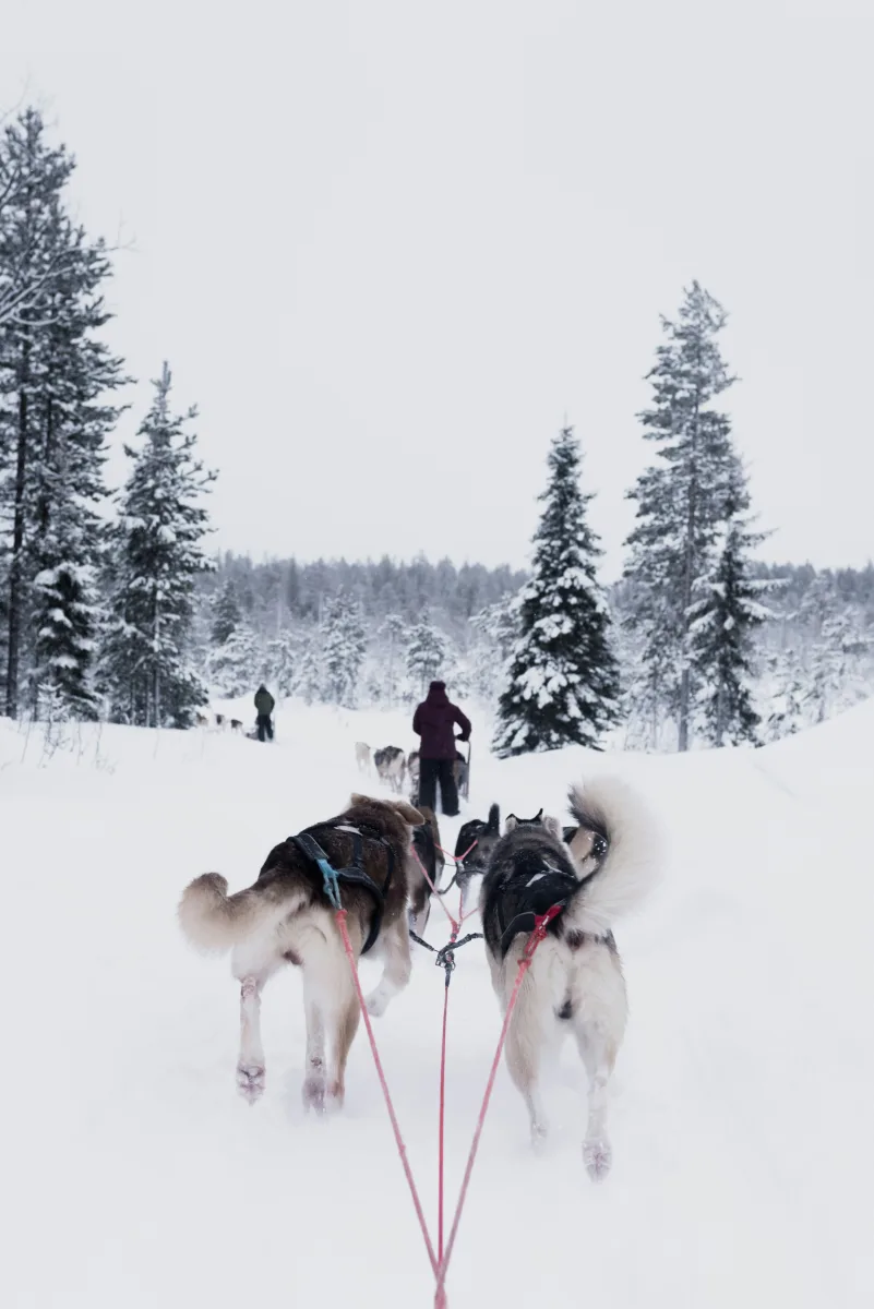 Finland