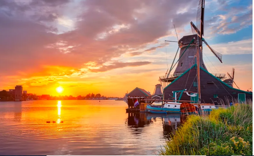 The Majestic Dutch Escapade