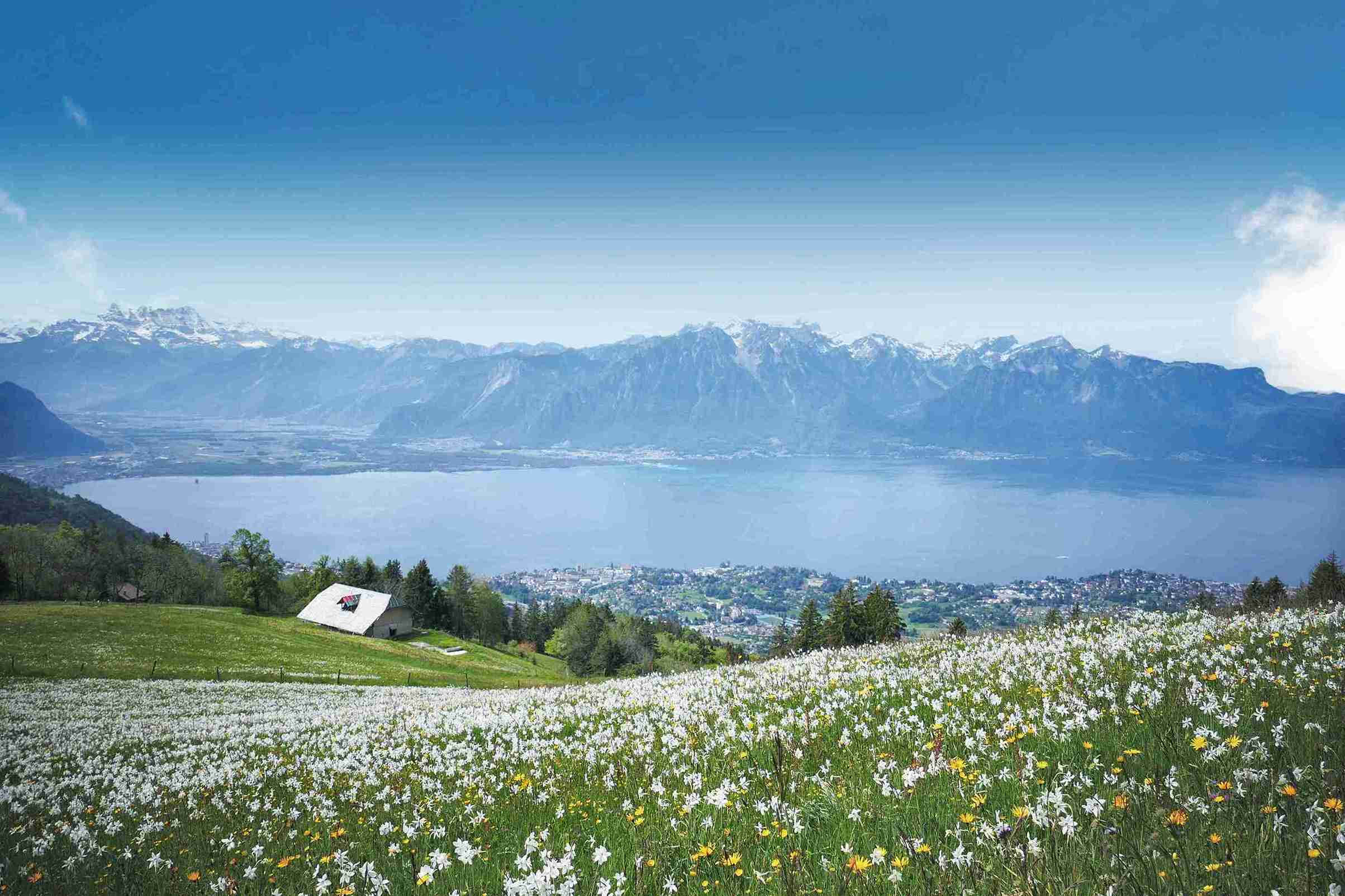 Gstaad Orientation Tour