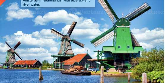 Discover the Heart of Dutch Traditions