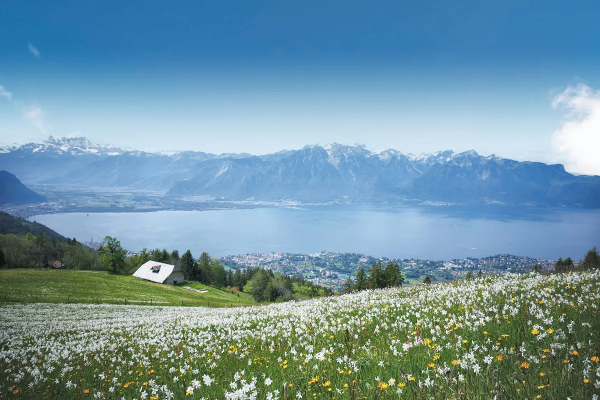 Gstaad Orientation Tour