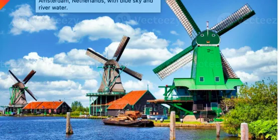 Discover the Heart of Dutch Traditions